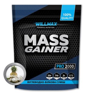 Wilmax mass gainer 2kg