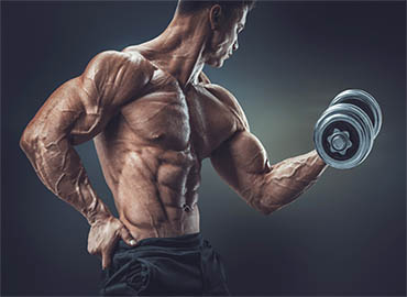 How to use Biceps-ua