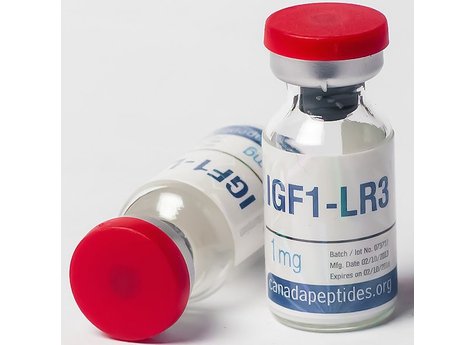 IGF-1 LR3
