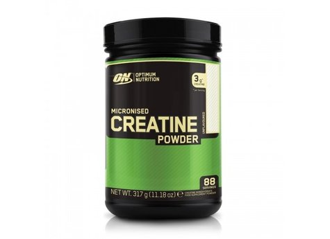 Optimum Nutrition Micronized Creatine Powder 