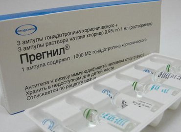 Прегнил в бодибилдинге