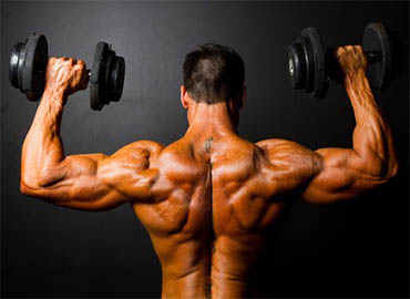 Steroid bicepsua.com
